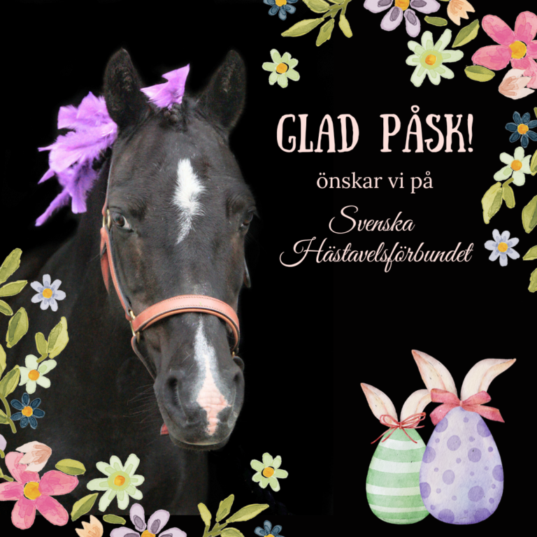 Glad Påsk