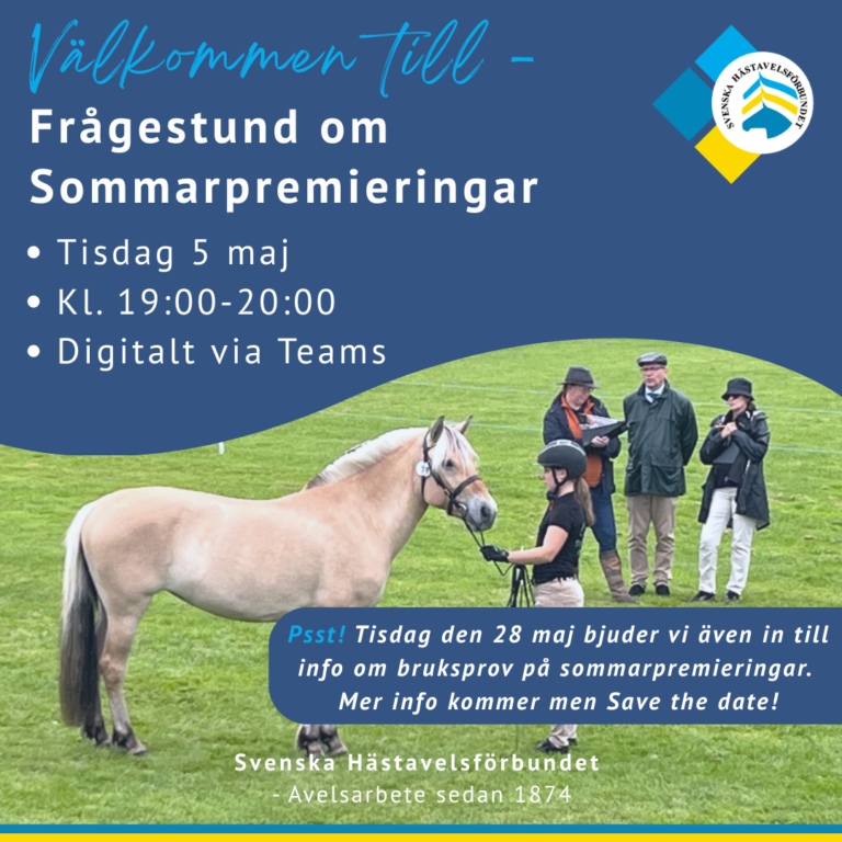 Digital information och frågestund om sommarpremieringarna