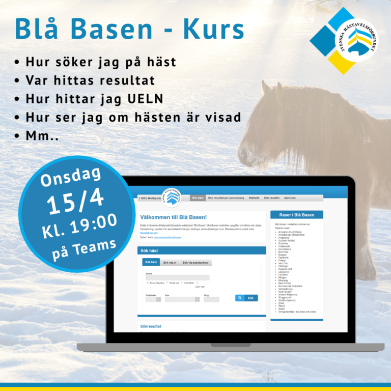 Blå Basen-Kurs