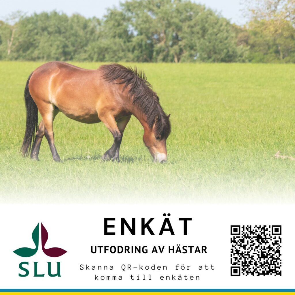 Enkät utfodring