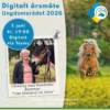Digitalt årsmöte för ungdomsrådet