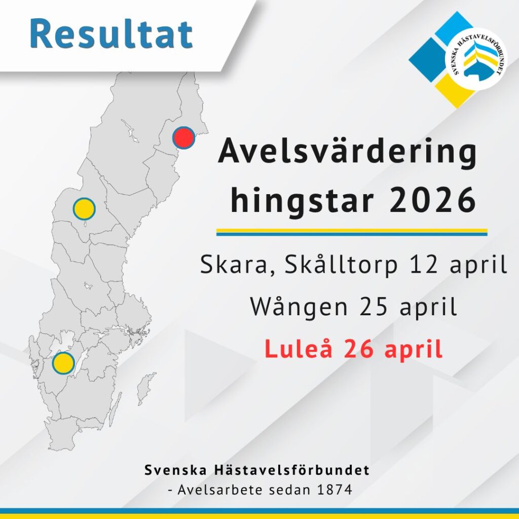 Resultat avelsvärdering Luleå