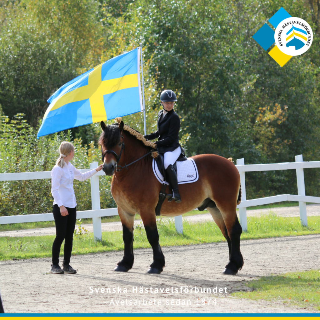 Halvårsmöte 2026