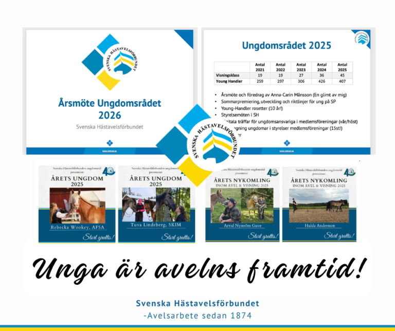 Ungdomsrådet 2026-2027