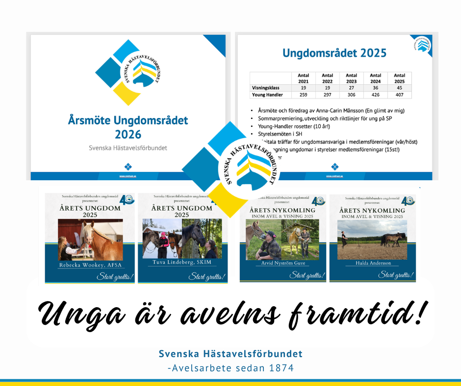 Ungdomsrådet 2026-2027