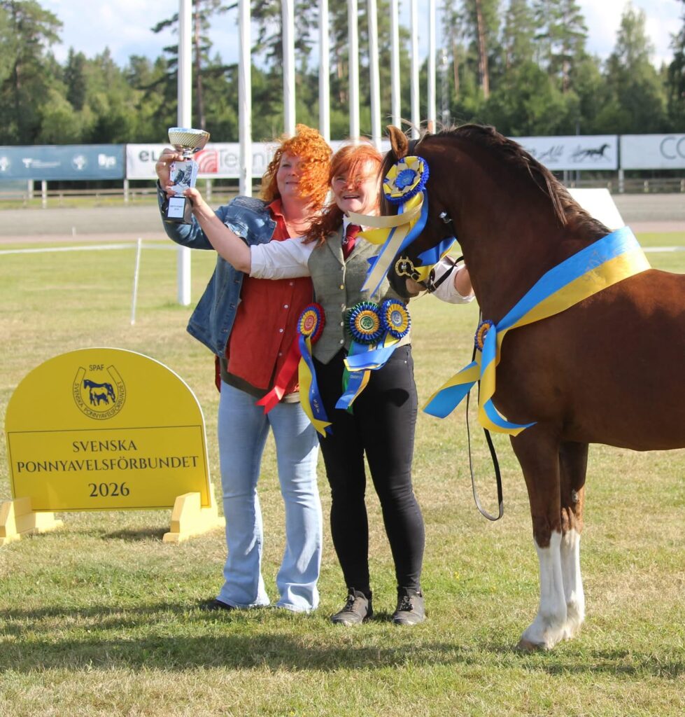 Årets ponny 2026