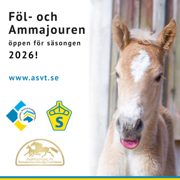Föl-&ammajouren 2026