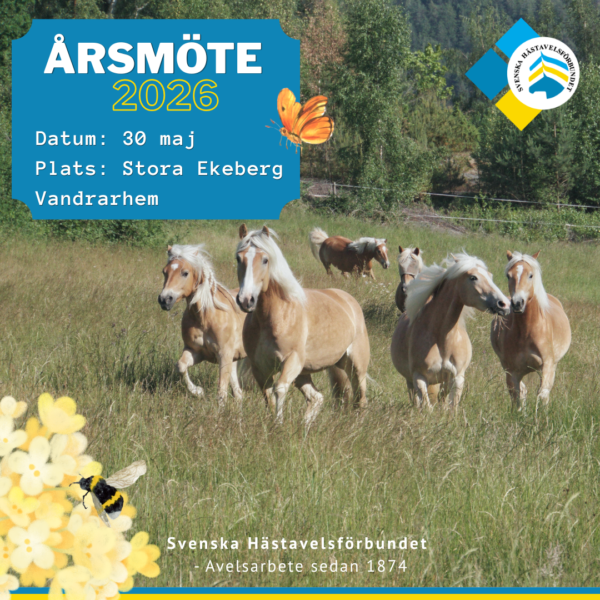 Kopia av SH-40år-mall för inlägg - 2026-04-15T100652.575