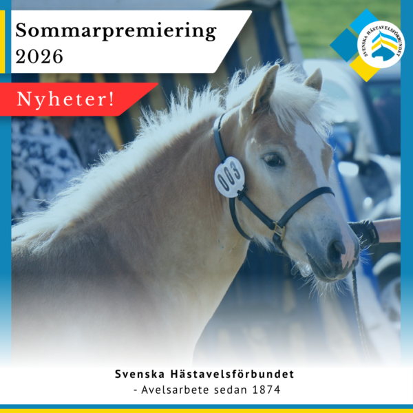 SP - nyheter 2