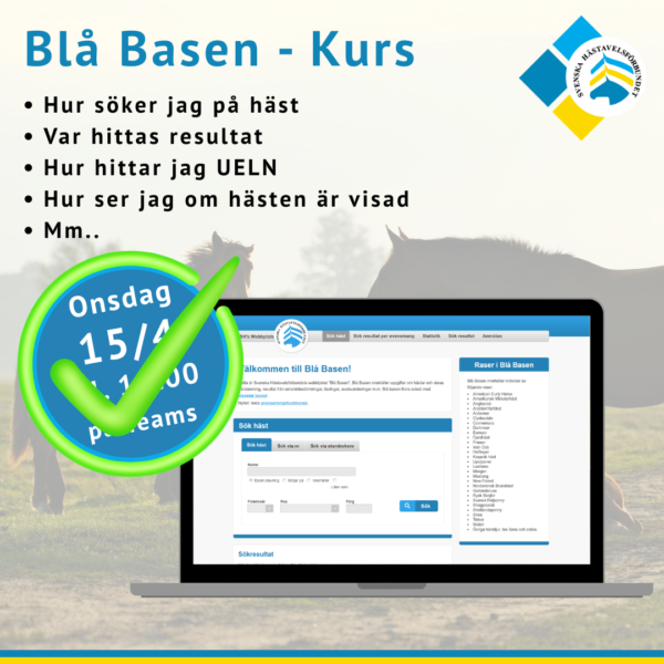 blå basen kurs